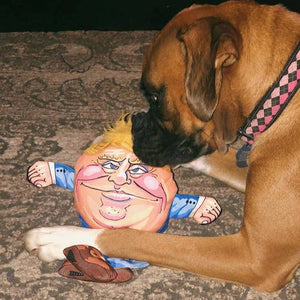 Humptee Trumptee Dog Toy